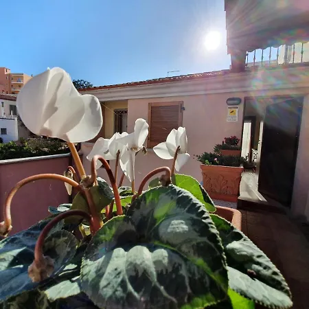 Gallura Home Appartement